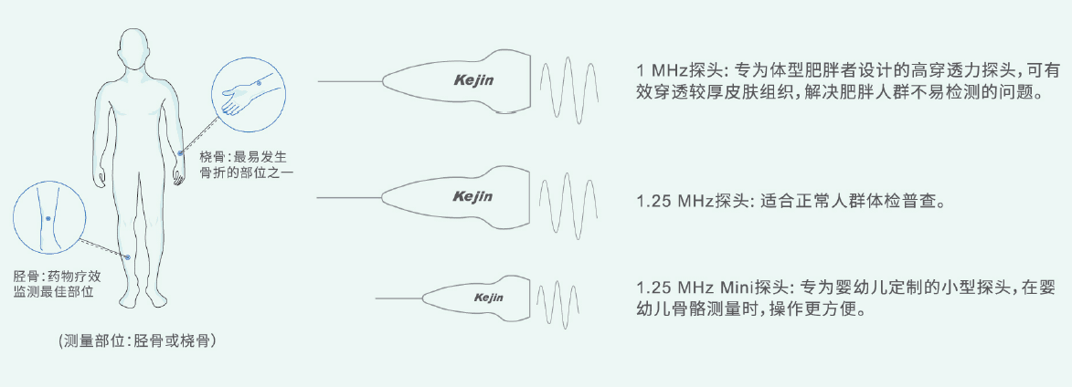 超声骨密度仪