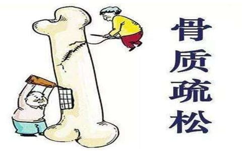 骨密度检查仪器