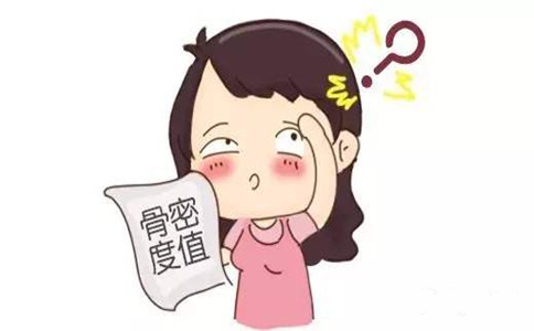 骨密度测试仪厂家：骨密度构建要素有哪些
