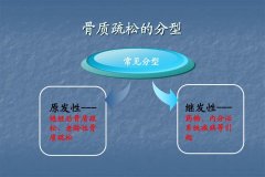 关注骨密度症 远离骨密度的困扰