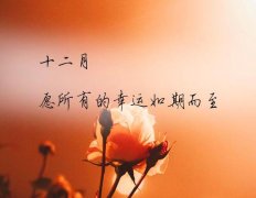 12月1日|2021的最后一个月