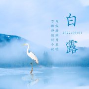 白露已至，节气微凉