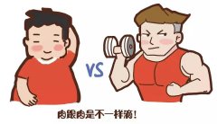 借助人体成分分析仪，开启针对性身材管理之旅