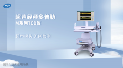 脑血管健康防护指南2024冬季